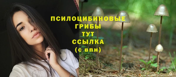 мефедрон Богородицк