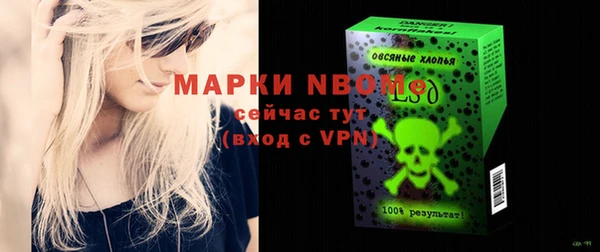 гидра Богданович