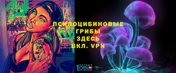 гидра Богданович