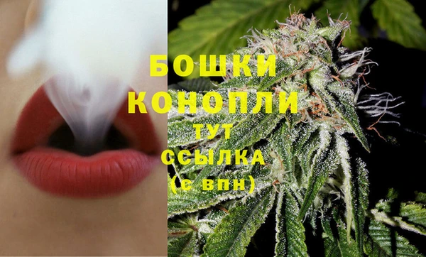 гидра Богданович