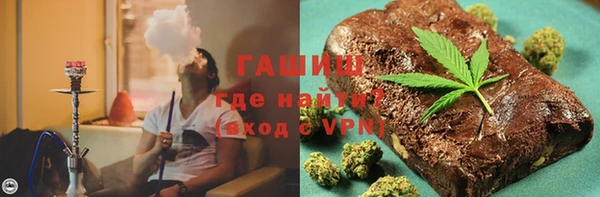 гидра Богданович